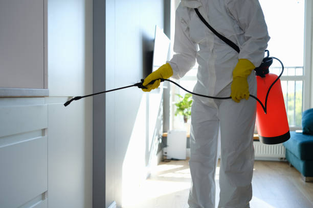 Best Toxic Mold Removal  in Morgantown, PA