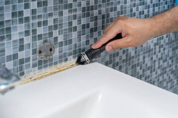 Best Office Mold Removal Services  in Morgantown, PA