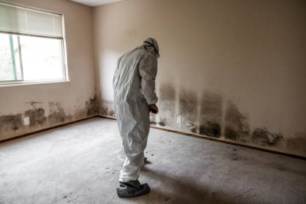 Best Emergency Mold Removal  in Morgantown, PA