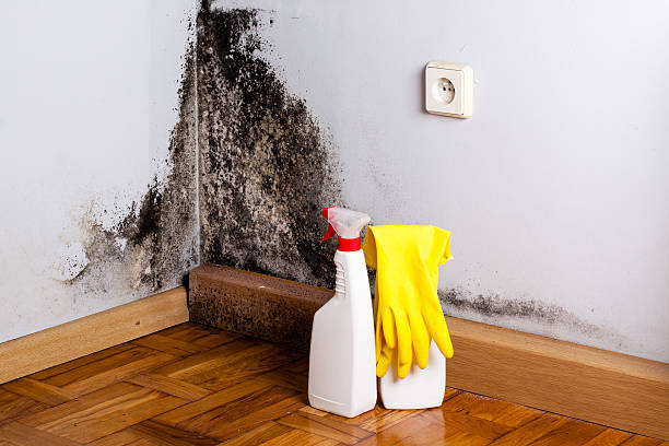 Water Damage Restoration in Morgantown, PA